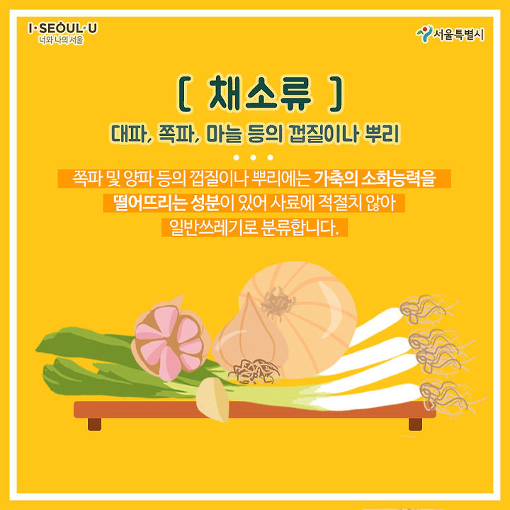 일반쓰레기일까? 음식물쓰레기일까?