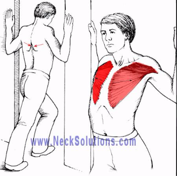 굽은등교정, 따라 하기 쉬운 목 어깨 스트레칭 4가지 4